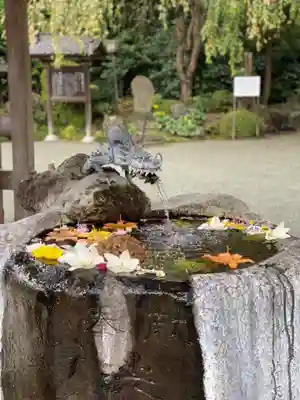 出雲大社相模分祠の手水舎