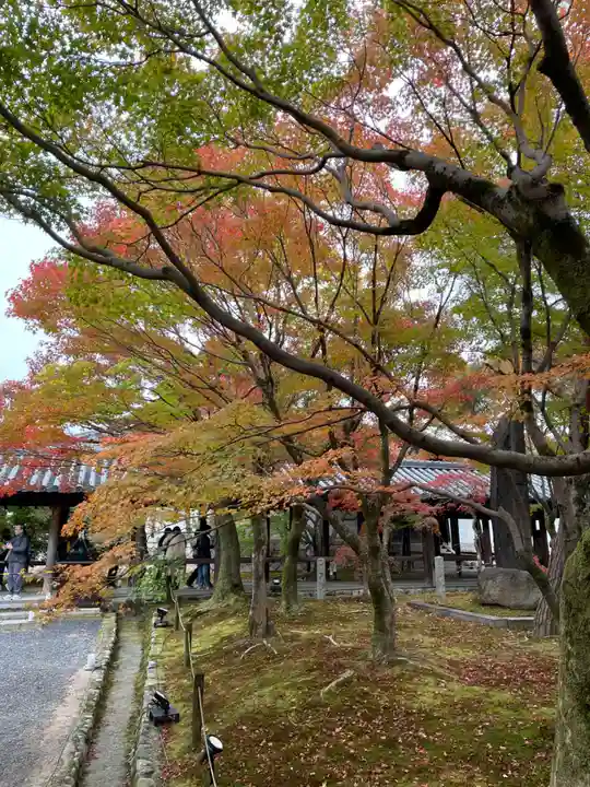 東福禅寺(東福寺)(京都府)