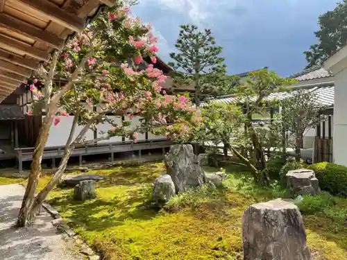 南禅寺の庭園