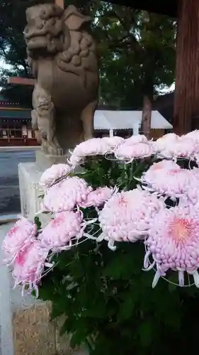 尾張大國霊神社（国府宮）の狛犬