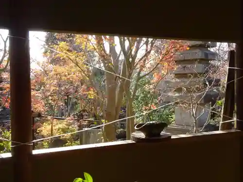 常泉寺(神奈川県)