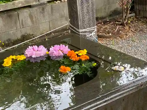 前玉神社の手水