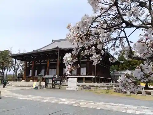 くろ谷 金戒光明寺(京都府)