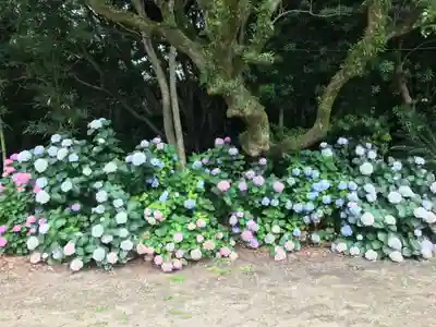 年毛神社(福岡県)