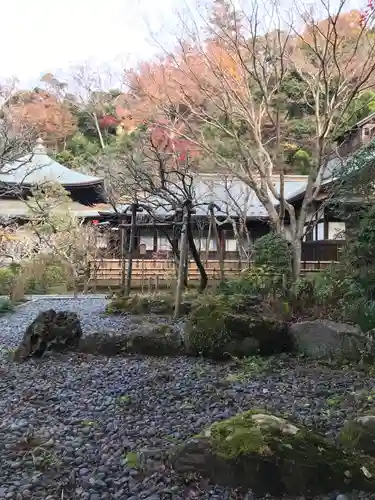 瑞泉寺の庭園