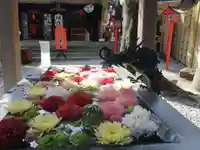 蛇窪神社の手水舎