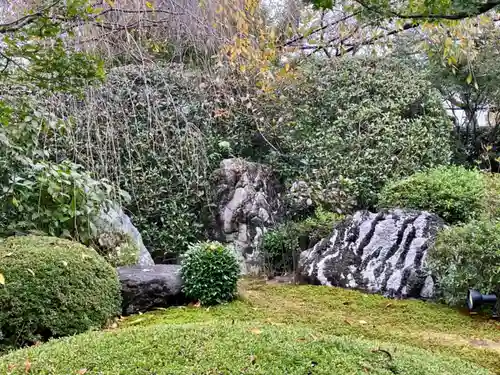 退蔵院の庭園