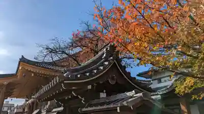 壬生寺(京都府)