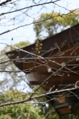 夜疑神社(大阪府)