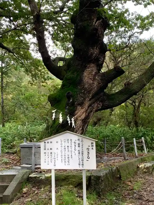 那須温泉神社(栃木県)