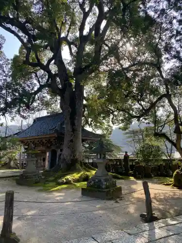 大乗寺(兵庫県)