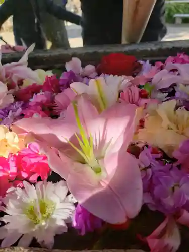 鳩森八幡神社の手水舎