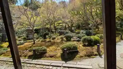 圓光寺(京都府)