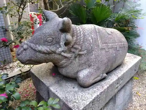 五條天神宮の狛犬