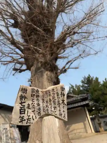 姪浜住吉神社の{uncategorized: "未分類", other: "その他", undefined: "問題あり", building: "その他建物", grave: "お墓", sacred_gate: "鳥居", guardian: "狛犬", statue: "像", buddha: "仏像", history: "歴史", nature: "自然", garden: "庭園", animal: "動物", pagoda: "塔", temizu: "手水舎", mountain_gate: "山門・神門", sanctuary: "本殿・本堂", subordinate: "末社・摂社", art: "芸術", scenery: "景色", jizo: "地蔵", ema: "絵馬", goshuin: "御朱印", omikuji: "おみくじ", items: "授与品その他", amulet: "お守り", goshuincho: "御朱印帳", eats: "食事", festival: "お祭り", votive_dance: "神楽", shichigosan: "七五三参", wedding: "結婚式", experience: "体験その他", initially: "初詣", around: "周辺", anti_infection: "感染症対策"}