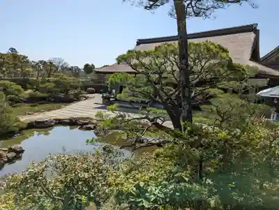 仁和寺(京都府)