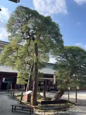 笠間稲荷神社の{uncategorized: "未分類", other: "その他", undefined: "問題あり", building: "その他建物", grave: "お墓", sacred_gate: "鳥居", guardian: "狛犬", statue: "像", buddha: "仏像", history: "歴史", nature: "自然", garden: "庭園", animal: "動物", pagoda: "塔", temizu: "手水舎", mountain_gate: "山門・神門", sanctuary: "本殿・本堂", subordinate: "末社・摂社", art: "芸術", scenery: "景色", jizo: "地蔵", ema: "絵馬", goshuin: "御朱印", omikuji: "おみくじ", items: "授与品その他", amulet: "お守り", goshuincho: "御朱印帳", eats: "食事", festival: "お祭り", votive_dance: "神楽", shichigosan: "七五三参", wedding: "結婚式", experience: "体験その他", initially: "初詣", around: "周辺", anti_infection: "感染症対策"}