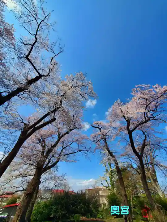 神炊館神社 ⁂奥州須賀川総鎮守⁂(福島県)