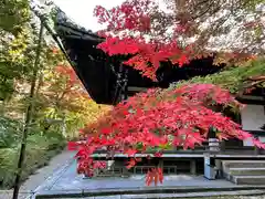 柳谷観音　楊谷寺(京都府)