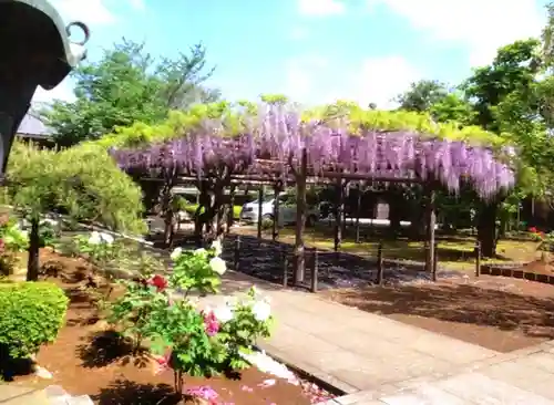愛染院(東京都)