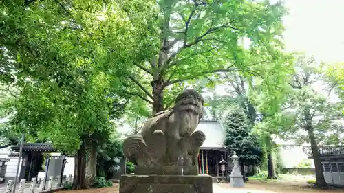 上連雀神明社の狛犬