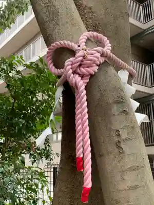 伊和志津神社(兵庫県)