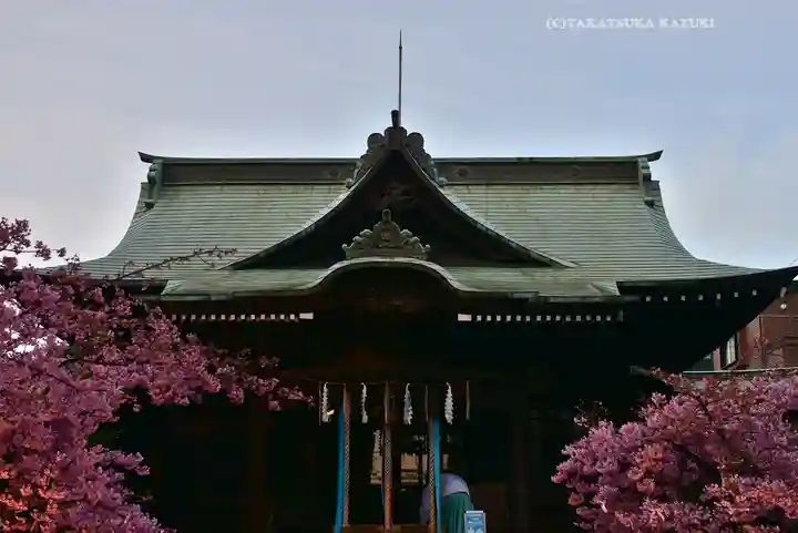 桜神宮(東京都)