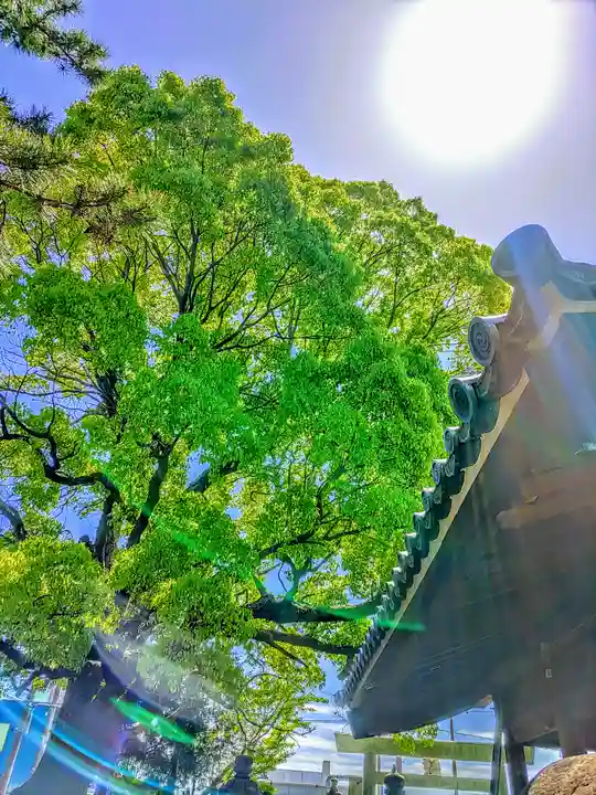 神明社(曽本神明社)の自然