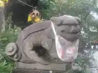 菊田神社の狛犬