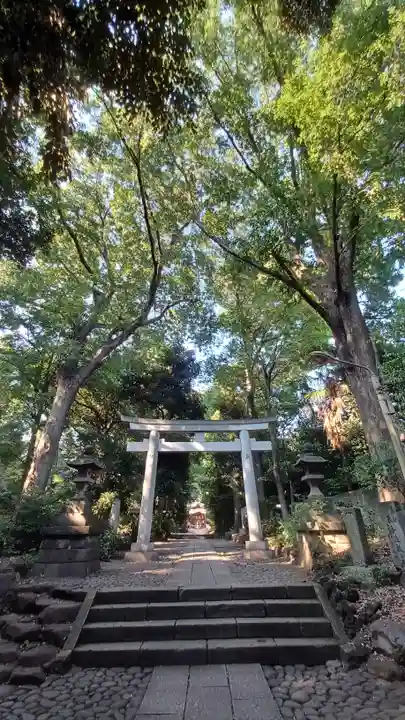 代々木八幡宮(東京都)