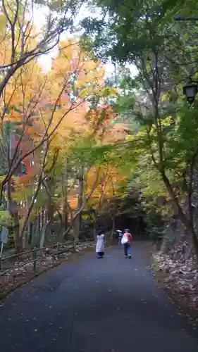 鳳来山東照宮の自然