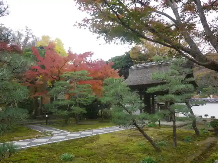 長壽寺(長寿寺)の庭園