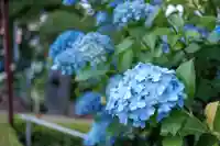 白山神社の自然