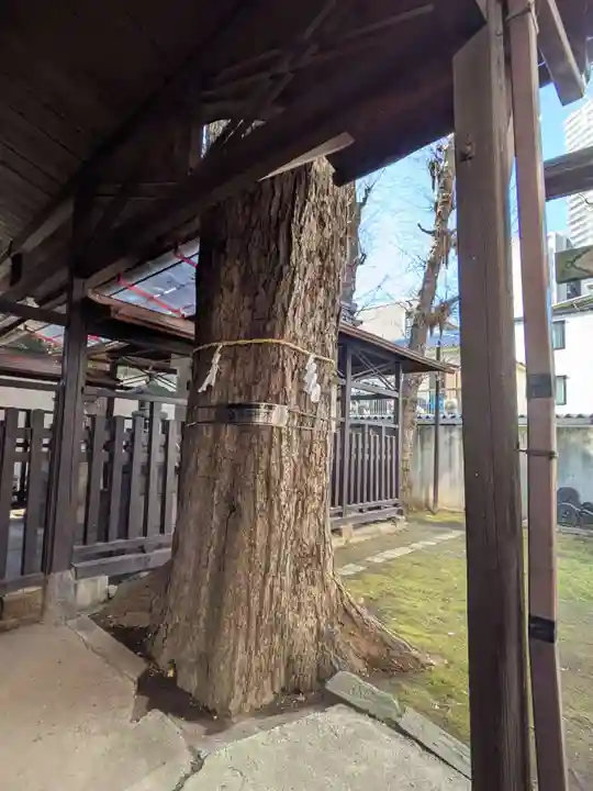 橋戸稲荷神社(東京都)
