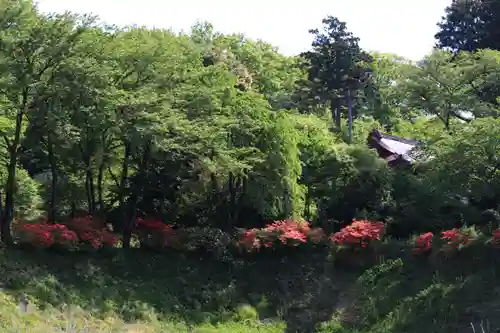 高屋敷稲荷神社の庭園