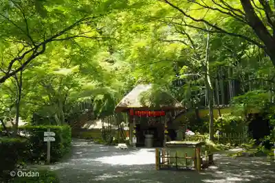 化野念仏寺(京都府)