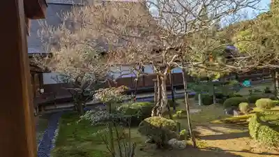 大覚寺(京都府)