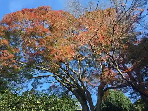 霊鑑寺門跡の景色