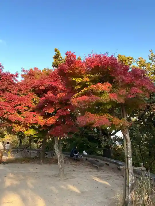 高尾山薬王院の自然