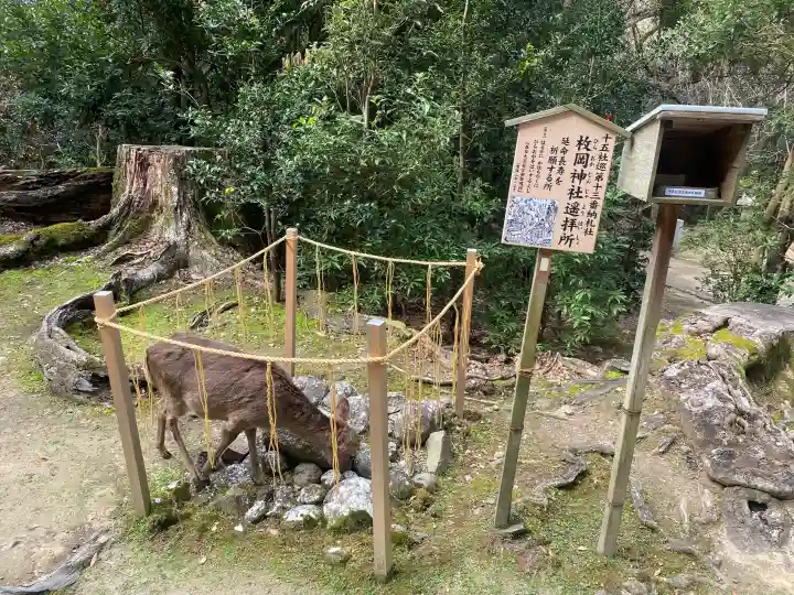 元春日 枚岡神社遥拝所の{uncategorized: "未分類", other: "その他", undefined: "問題あり", building: "その他建物", grave: "お墓", sacred_gate: "鳥居", guardian: "狛犬", statue: "像", buddha: "仏像", history: "歴史", nature: "自然", garden: "庭園", animal: "動物", pagoda: "塔", temizu: "手水舎", mountain_gate: "山門・神門", sanctuary: "本殿・本堂", subordinate: "末社・摂社", art: "芸術", scenery: "景色", jizo: "地蔵", ema: "絵馬", goshuin: "御朱印", omikuji: "おみくじ", items: "授与品その他", amulet: "お守り", goshuincho: "御朱印帳", eats: "食事", festival: "お祭り", votive_dance: "神楽", shichigosan: "七五三参", wedding: "結婚式", experience: "体験その他", initially: "初詣", around: "周辺", anti_infection: "感染症対策"}