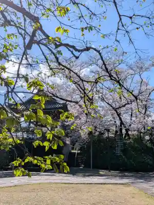 福蔵院(東京都)