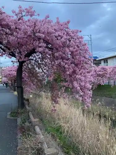 松戸神社(千葉県)