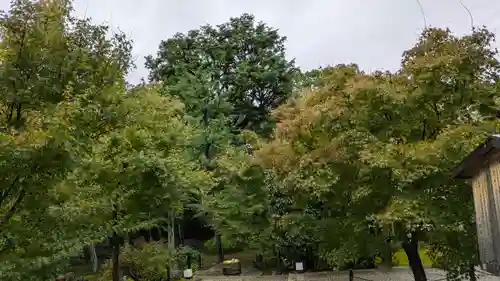 勝林寺(京都府)