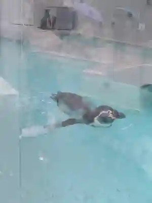 和歌山縣護國神社の{uncategorized: "未分類", other: "その他", undefined: "問題あり", building: "その他建物", grave: "お墓", sacred_gate: "鳥居", guardian: "狛犬", statue: "像", buddha: "仏像", history: "歴史", nature: "自然", garden: "庭園", animal: "動物", pagoda: "塔", temizu: "手水舎", mountain_gate: "山門・神門", sanctuary: "本殿・本堂", subordinate: "末社・摂社", art: "芸術", scenery: "景色", jizo: "地蔵", ema: "絵馬", goshuin: "御朱印", omikuji: "おみくじ", items: "授与品その他", amulet: "お守り", goshuincho: "御朱印帳", eats: "食事", festival: "お祭り", votive_dance: "神楽", shichigosan: "七五三参", wedding: "結婚式", experience: "体験その他", initially: "初詣", around: "周辺", anti_infection: "感染症対策"}