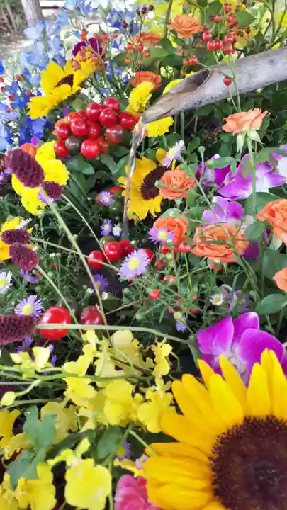 当別神社の手水舎