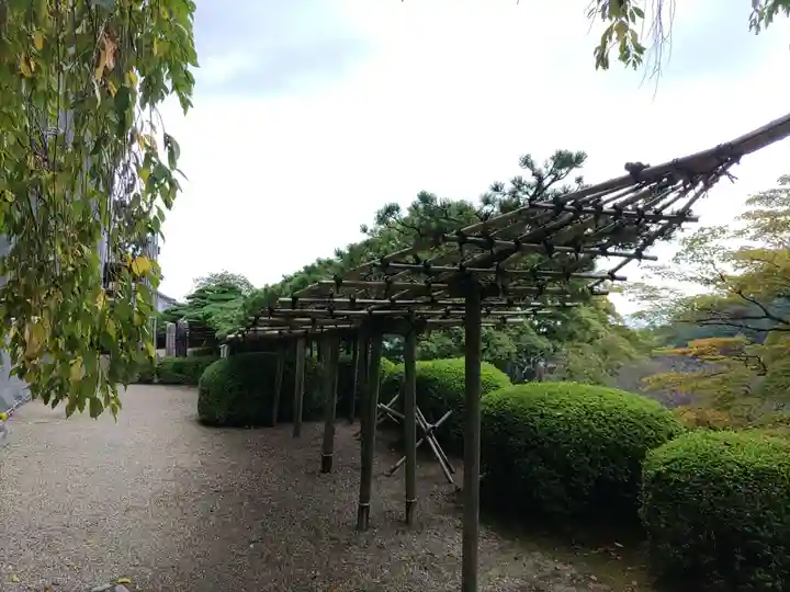 善峯寺(京都府)