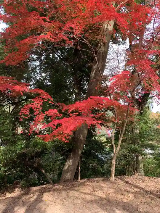 園城寺(三井寺)の自然