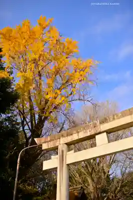 玉敷神社(埼玉県)