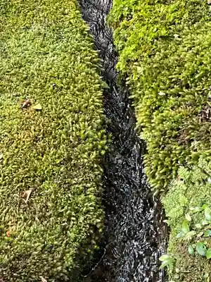 西芳寺(京都府)