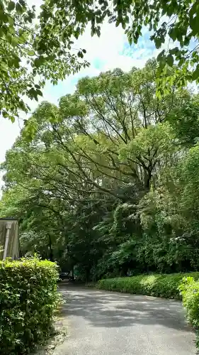 石清水八幡宮(京都府)